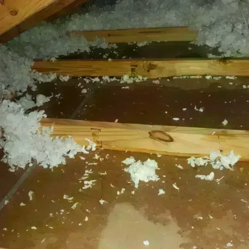 Attic Water Damage in Browns Point, WA